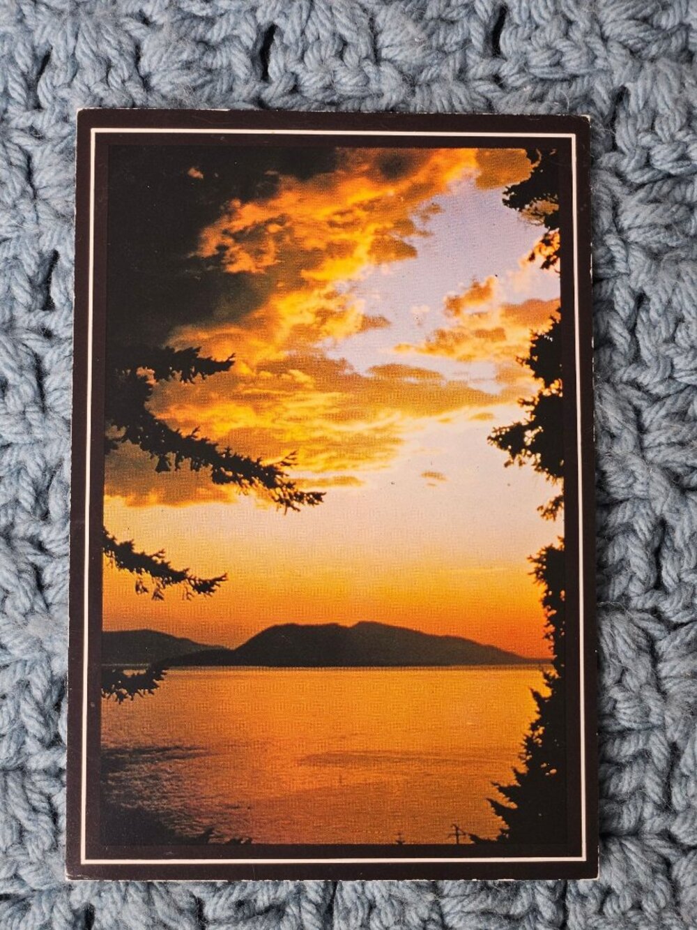 Sunset on Chuckanut Drive Northwest Postcard